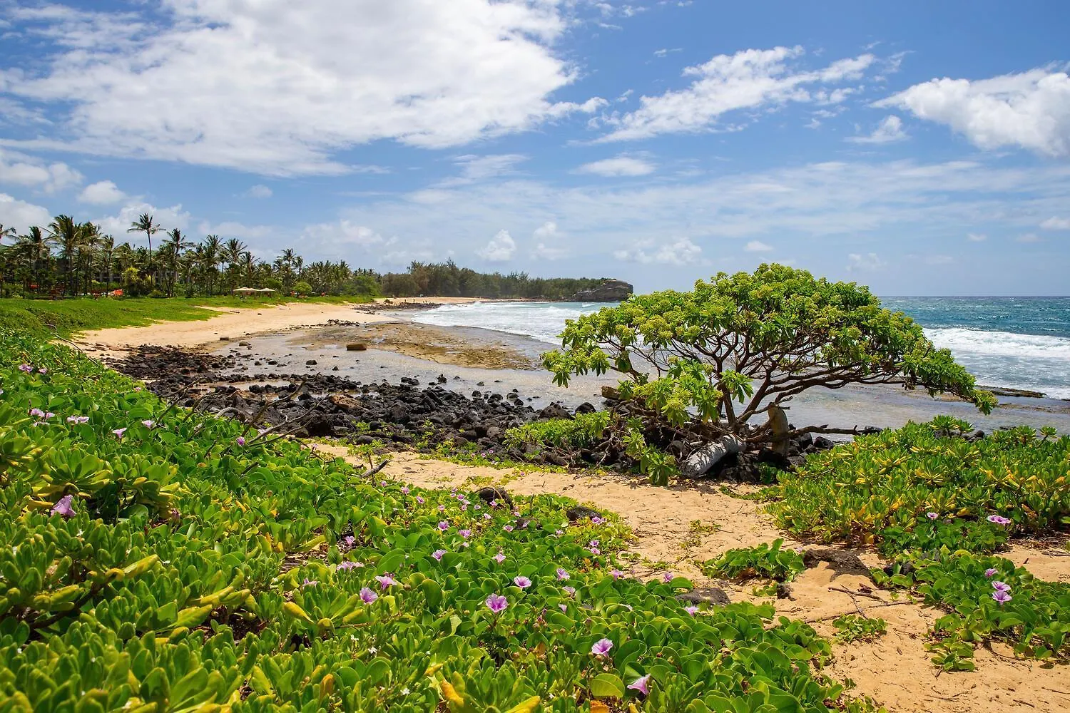 Holiday home Poipu Sands 513 - Ocean Front Koloa United States