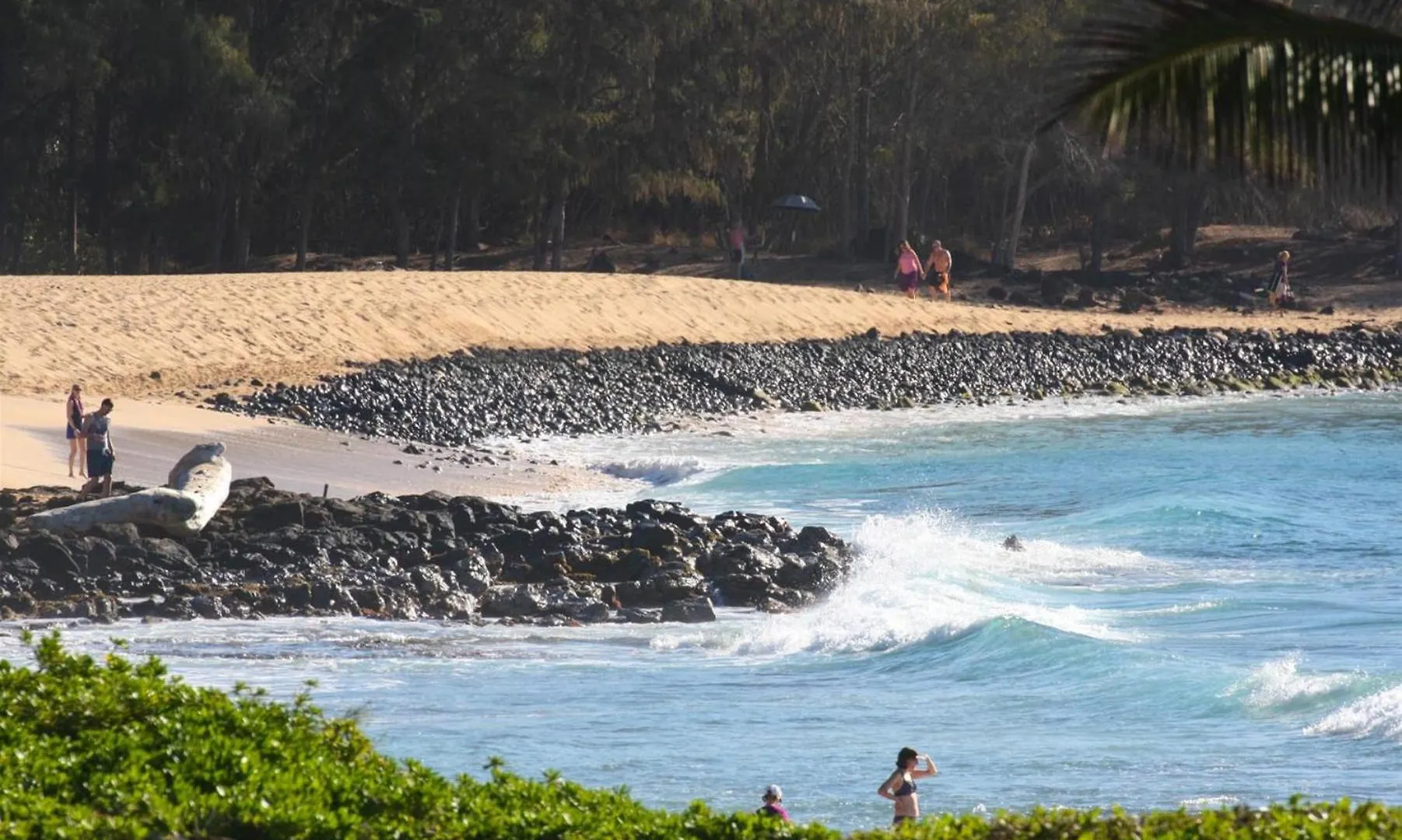 Holiday home Poipu Sands 513 - Ocean Front Koloa